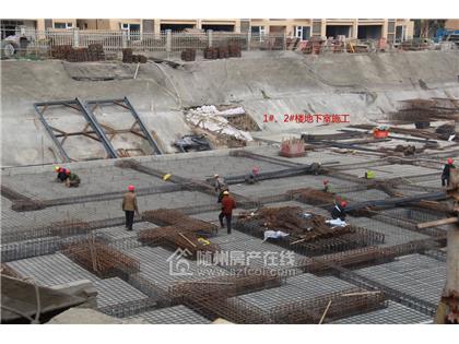 明珠雅居2017年11月工程进度