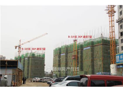 随州碧桂园2017年11月工程进度