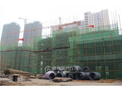 明珠雅居2018年1月工程进度