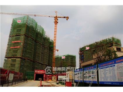 碧桂园·天悦城2019年7月工程进度
