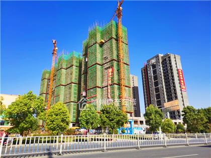 明珠雅居·觀悦2020年5月工程进度