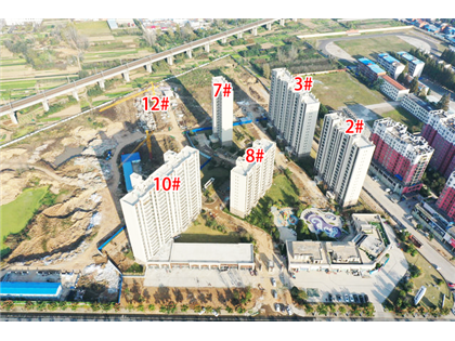 碧桂园·天悦城2020年11月工程进度