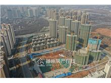 碧桂园·紫宸2021年2月工程进度图