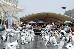 荣御中央《第18届国际机器人奥林匹克竞赛》随州站召集令开始啦
